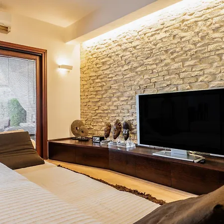 Rokkaria 维拉西米乌斯